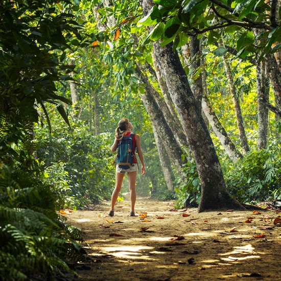 Aktivreise im Naturparadies Mittelamerikas Aktivreise im Naturparadies Mittelamerikas