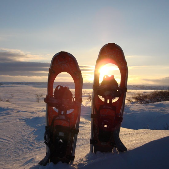 Schneeschuhtrekking auf dem Fulufjäll Schneeschuhtrekking auf dem Fulufjäll