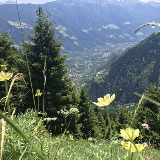 Trekking-Transalp von Meran zum Gardasee Trekking-Transalp von Meran zum Gardasee